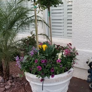 Meet your Posher, Yohandra